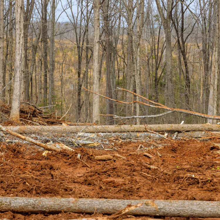 Junk removal services in Oregon City, OR Junk removal services in Oregon City, OR